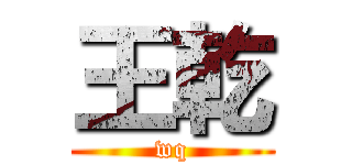 王乾 (wq)