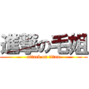 進撃の毛姐 (attack on titan)