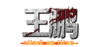 王鹏 (attack on titan)