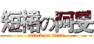 短裙の阿旻 (attack on titan)