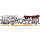 進撃の笠原 (attack on kasahara)