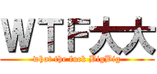 ＷＴＦ大大 (what the fuck BigBig)