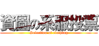 資圖の系服投票 (Selection of clothing)