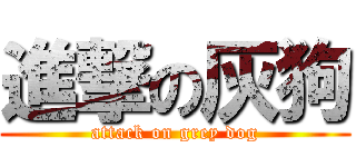 進撃の灰狗 (attack on grey dog)