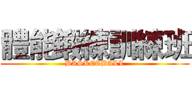 體能鍛練訓練班 (BASKETBALL)