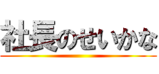 社長のせいかな ()