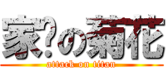 家伟の菊花 (attack on titan)