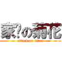 家伟の菊花 (attack on titan)