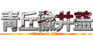 靑丘偸井盖 (attack on titan)