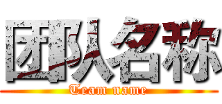 团队名称 (Team name)