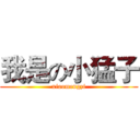 我是の小猛子 (xiaomengzi)