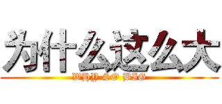 为什么这么大 (WHY SO BIG)