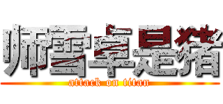 师雪卓是猪 (attack on titan)