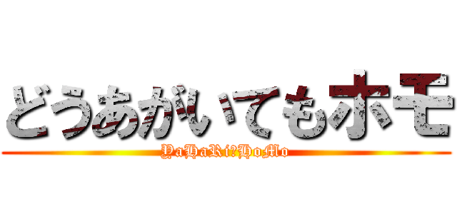 どうあがいてもホモ (YaHaRi　HoMo)
