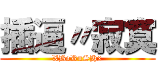 插逼〃寂寞 (XBoRuSHx)