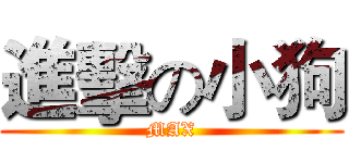 進擊の小狗 (MAX)