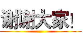 谢谢大家！ ()