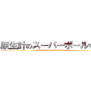 原生計のスーパーボールすくい (SUMMER FESTIVAL 2013)