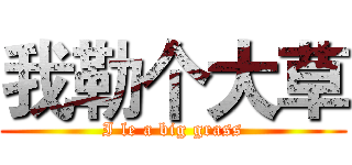 我勒个大草 (I le a big grass)