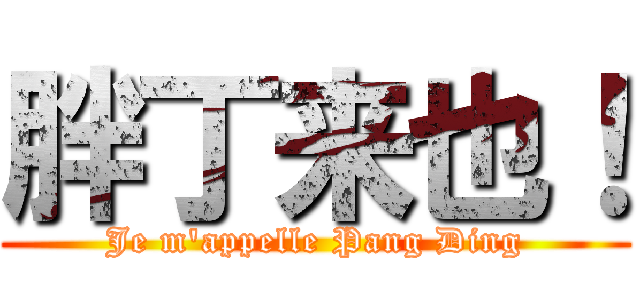 胖丁来也！ (Je m\'appelle Pang Ding)