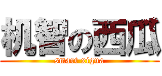 机智の西瓜 (smart xigua)
