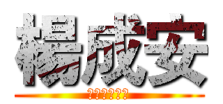 楊成安 (小三班候選人)