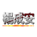 楊成安 (小三班候選人)