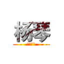 杨琴 (是个美女)