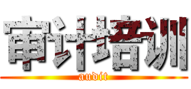 审计培训 (audit)