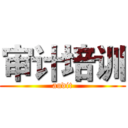 审计培训 (audit)