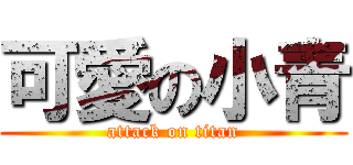 可愛の小青 (attack on titan)