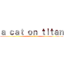 ａ ｃａｔ ｏｎ ｔｉｔａｎ (a cat on titan)