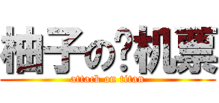 柚子の飞机票 (attack on titan)