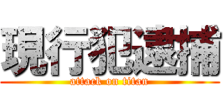現行犯逮捕 (attack on titan)