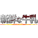 新鮮な牛乳 (new milk)