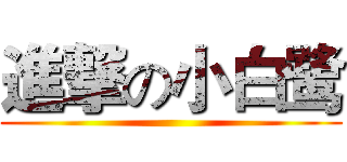 進撃の小白鹭 ()