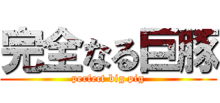完全なる巨豚 (perfect big pig)