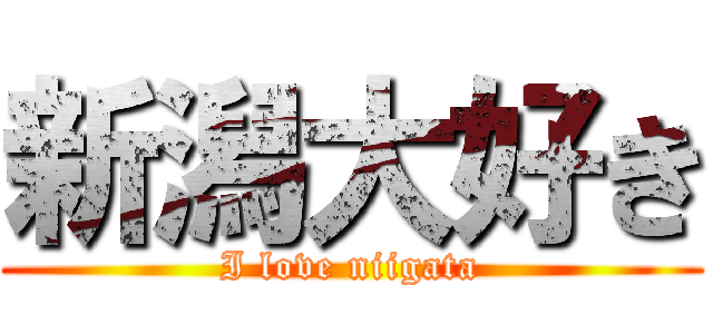 新潟大好き (I love niigata)