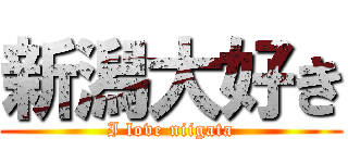新潟大好き (I love niigata)