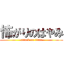 怖がりのはやみ (attack on titan)