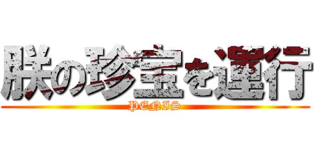 朕の珍宝を運行 (PENIS)