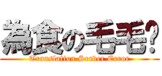 為食の毛毛雞 (Translation Server Error)