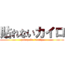 貼れないカイロ (pokapoka family)