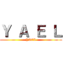 Ｙ Ａ Ｅ Ｌ (YAEL)