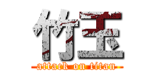 竹玉 (attack on titan)