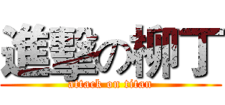 進擊の柳丁 (attack on titan)