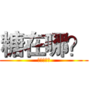 糖在哪？ (黑子的籃球)