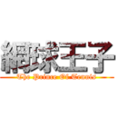 網球王子 (The Prince Of Tennis)