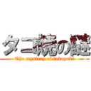 タコ焼の謎 (The mystery of takoyaki)