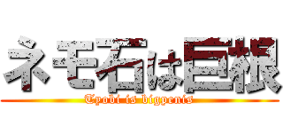 ネモ石は巨根 (Tyobi is bigpenis)